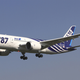 All Nippon Airways Boeing 787-8 Dreamliner (Spaceaero2 via Wikimedia Commons)